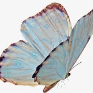 Meet your Posher, Lili